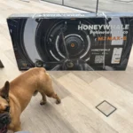 HONEYWHALE M2 MAX-B Patinete Elétrico Dobrável Preto/Laranja 36V 500W com Bluetooth, Luz LED e Freio a Disco photo review