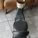 Honeywhale JL005 Scooter Elétrico Infantil com Alto-falante Bluetooth Motor 350W Bateria 3.6Ah Cesta Dupla photo review