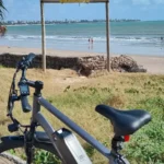 Honeywhale S8 Bicicleta Elétrica de Montanha Aro 26 Motor 450W Bateria 36V 15Ah 7 Velocidades E-Bike para Todo Tipo de Terreno Estradas e Praias photo review