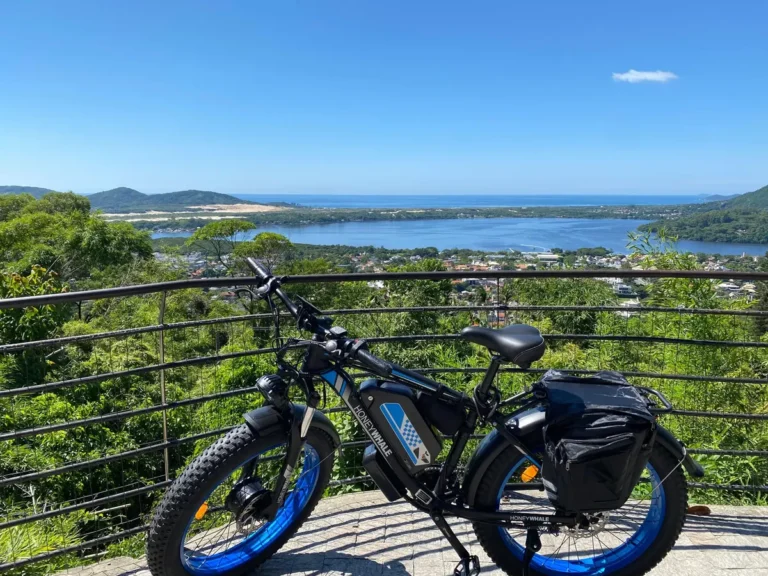 Honeywhale BK08 Bicicleta Elétrica Pneu Fat 26x4" Motor Duplo 1050W*2 Bateria 48V 23.5Ah 21V photo review