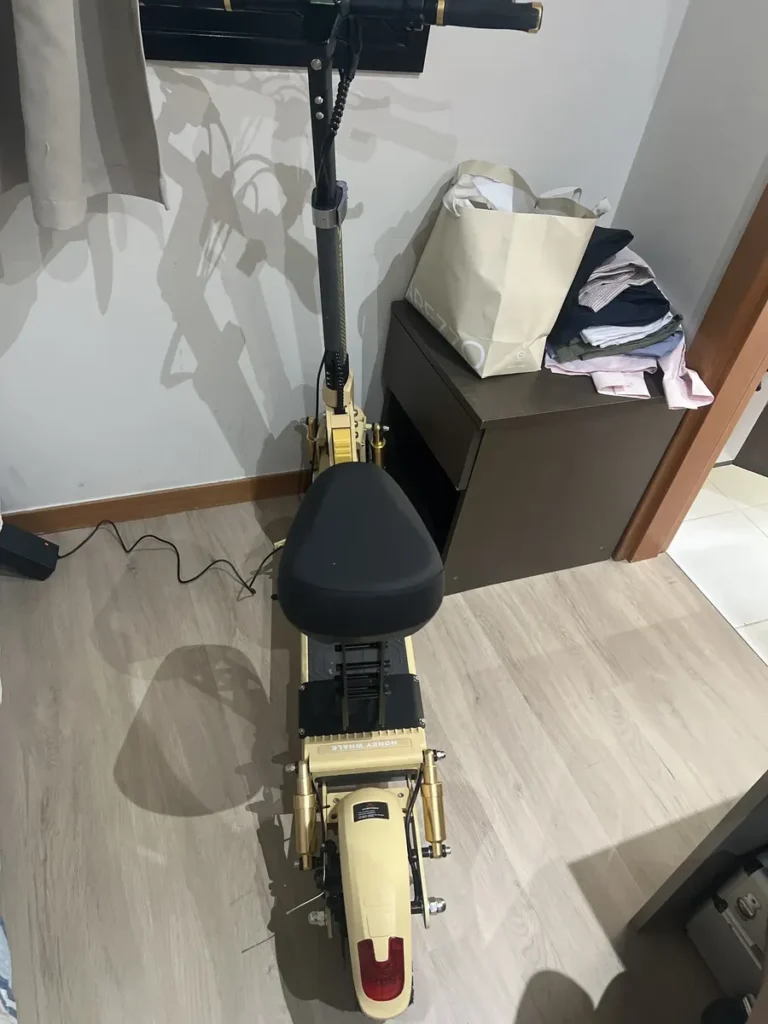 Honeywhale C1 Patinete Elétrico com Banco Motor 980W Bateria 13Ah Autonomia 40km Duplo Amortecimento e Freios a Disco photo review