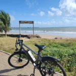 Honeywhale S8 Bicicleta Elétrica de Montanha Aro 26 Motor 450W Bateria 36V 15Ah 7 Velocidades E-Bike para Todo Tipo de Terreno Estradas e Praias photo review