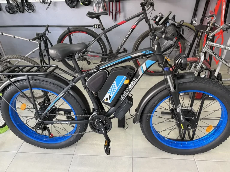 Honeywhale BK08 Bicicleta Elétrica Pneu Fat 26x4" Motor Duplo 1050W*2 Bateria 48V 23.5Ah 21V photo review