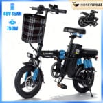 HONEYWHALE S6 PRO-S Bicicleta Elétrica Dobrável com Bateria Removível e 750W